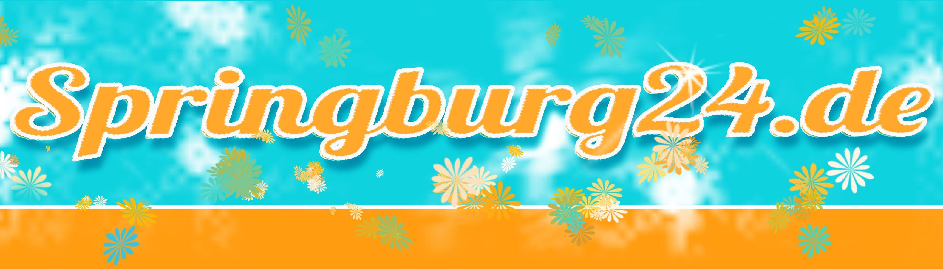 Logo Springburg 24